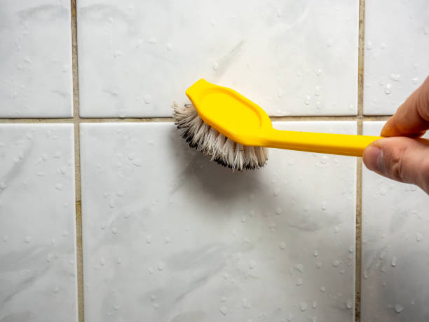 Best Certified Mold Removal  in Drexel Heights, AZ