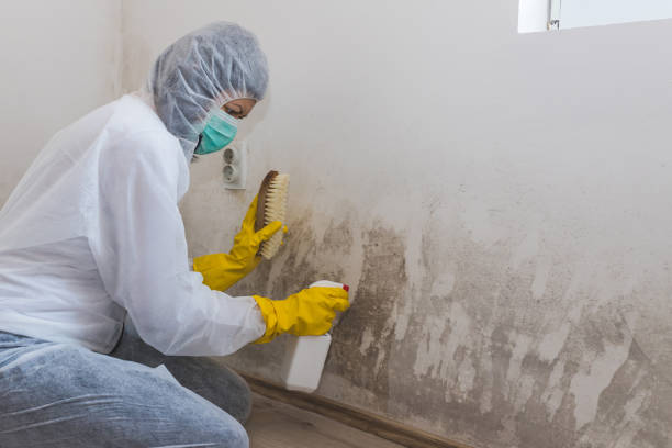 Crawl Space Mold Removal in Drexel Heights, AZ